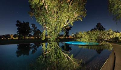 Category: POOLS WITH A VANISHING EDGE By: Liquid Evolution Pools, Scottsdale, Ariz.