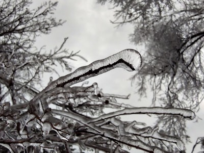 Ice3