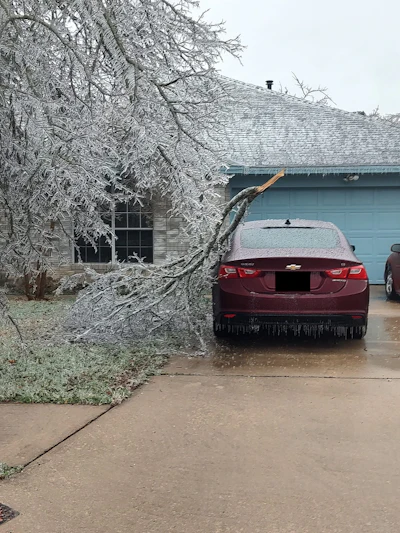 Ice6