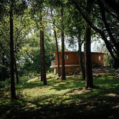 009 View From Woods