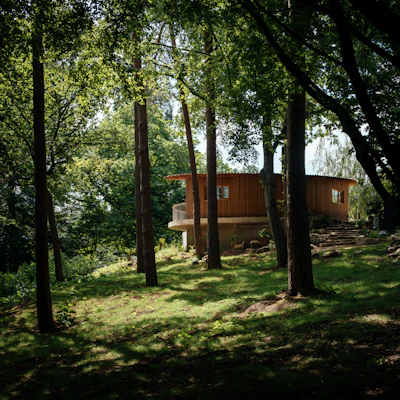 009 View From Woods