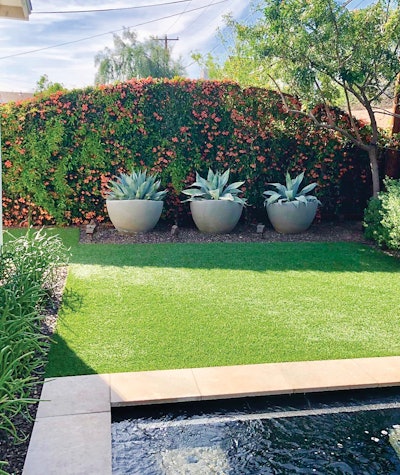 1 P 1123 Aq F9 4chapman LG