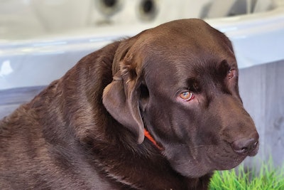 Foco 4 O 623 Aq Winston 3 Lg 64824cec4538f