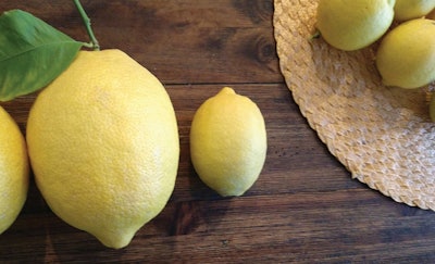 5 P 324 Aq Más Limones Lg