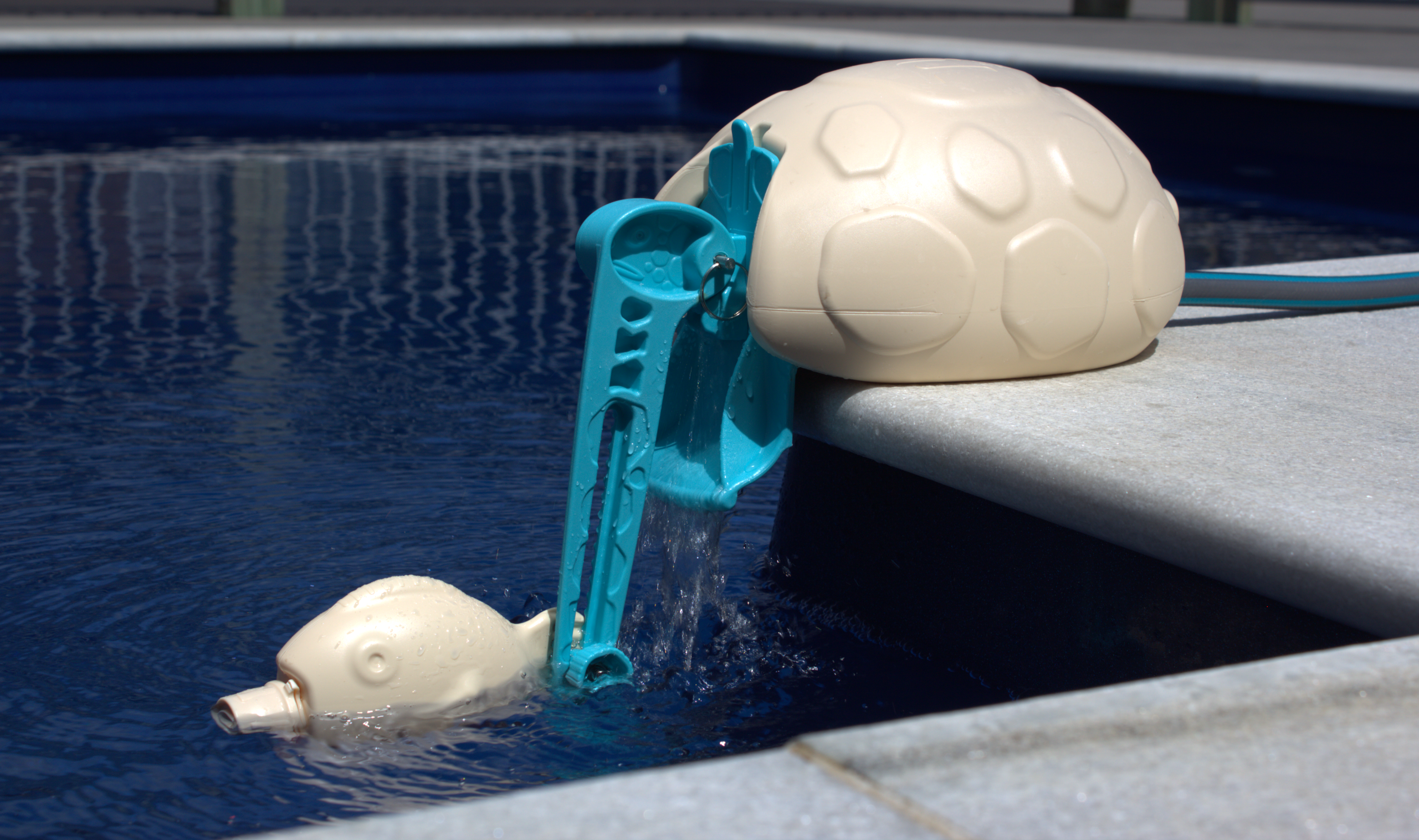 Top Up Turtle Side View