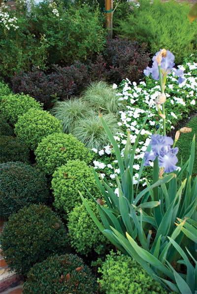 Layering color and texture creates both a sense of variety and interest. It's like painting with nature.