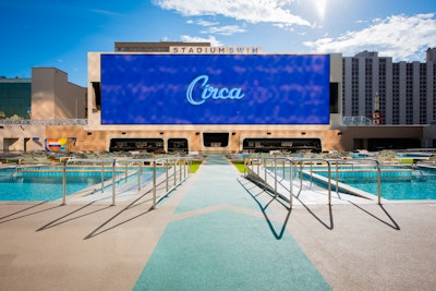 Stadium Swim2
