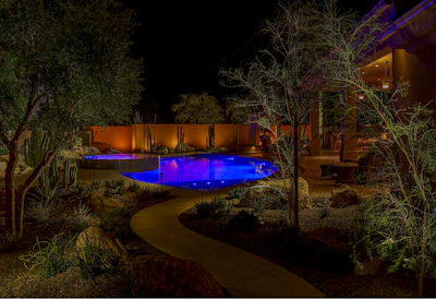 Bianchi Pool Path 1