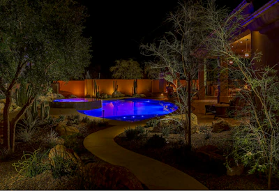 Bianchi Pool Path 1
