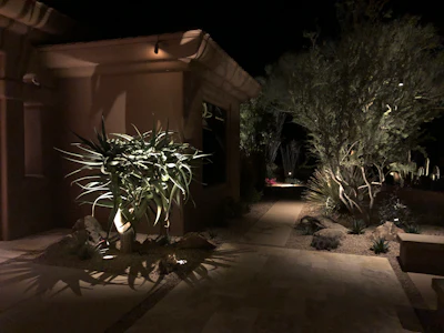 Hercules Aloe 1