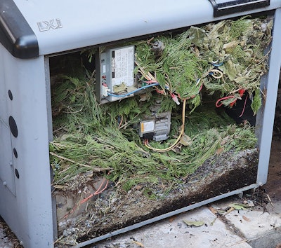 1 D 1124 Aq F2 Stuffed1 Lg