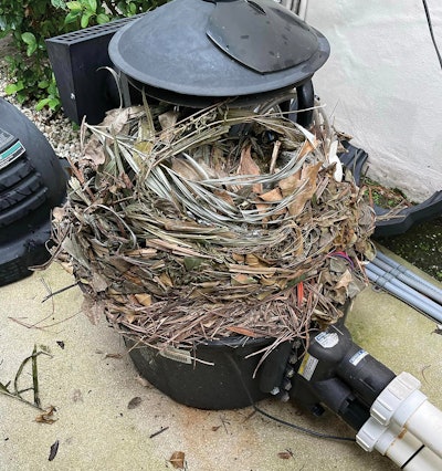 1 P 1124 Aq F2 Stuffed3 Lg