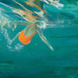 Garibaldi