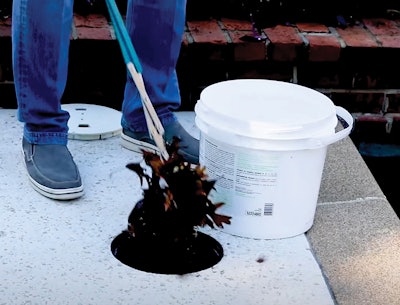 2 S 424 Aq Frank Wall Lg