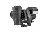 Pureline Pump