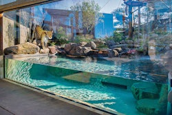 1 F 925 Aq Wf1 Overflow Wf3 Lg