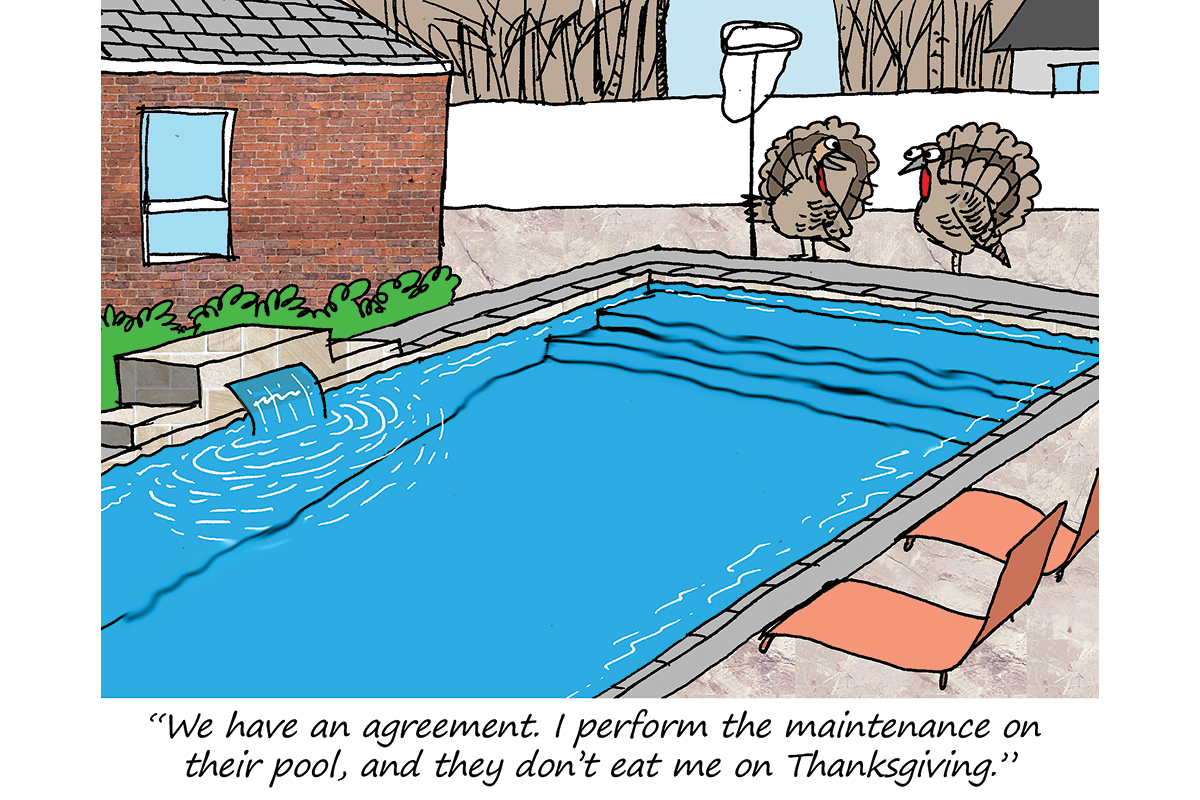 Cartoon turkeys discussing pool maintenance near a backyard swimming pool