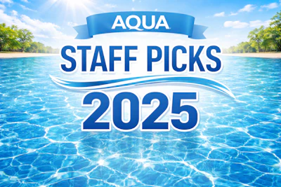 Staff Picks 2025