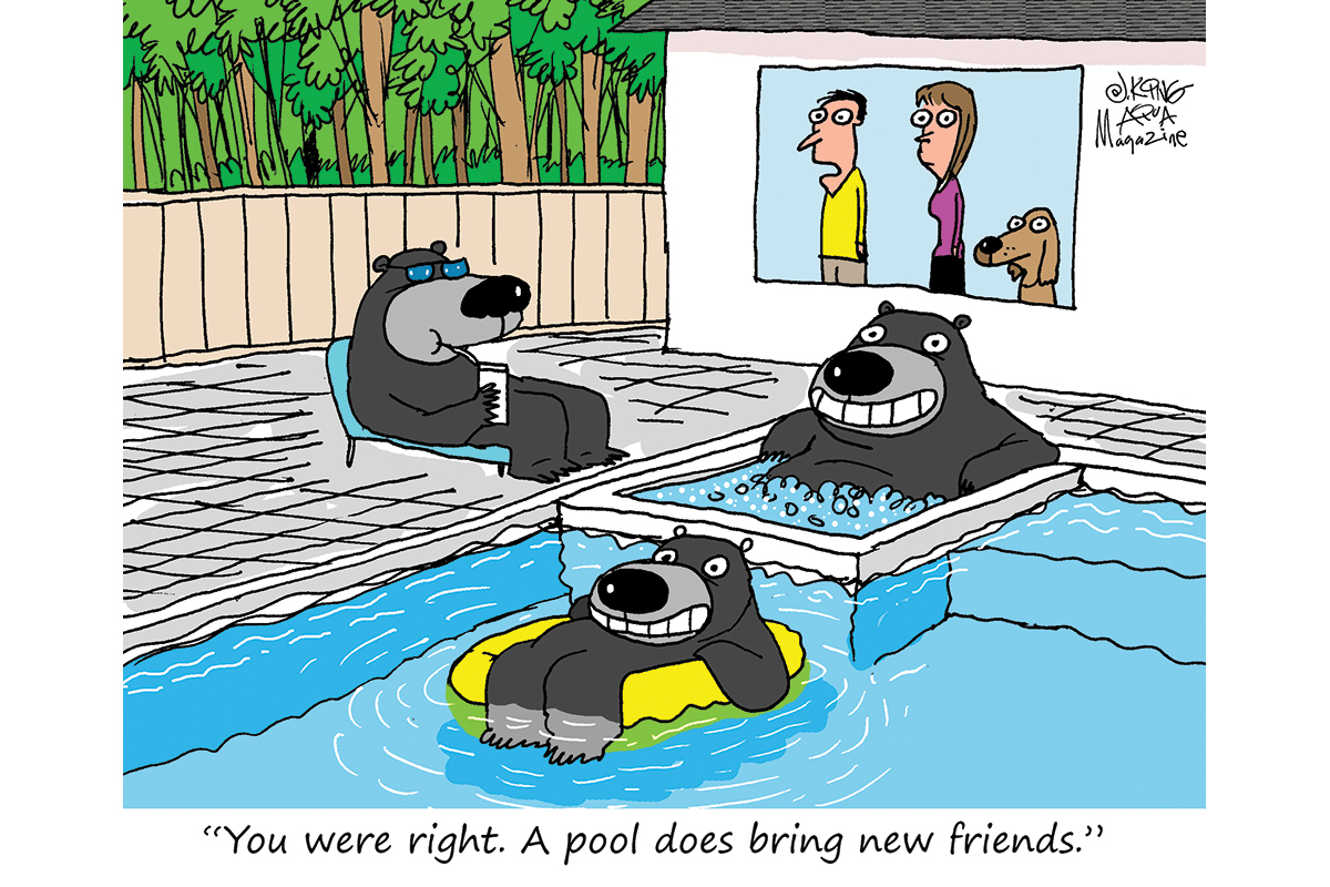 Cartoon bears enjoying a swimming pool, with humans watching from window