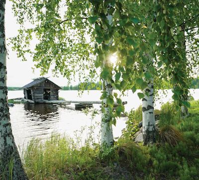 The next World Sauna Forum is in Finland, June 9-11.