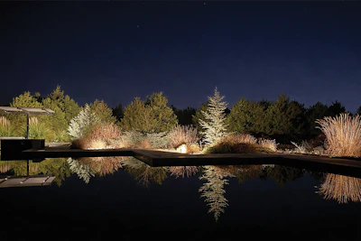 This homeowner loved their pool but was only getting seasonal use out of it. Once we added the lighting package, it completely changed how they used the space &mdash; turned it into a year-round environment, and created the essential 'mood' factor that sets pools apart.