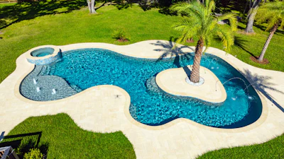 Aerial view of luxury backyard pool with curved design, integrated spa, and palm tree landscaping surrounded by manicured lawn.